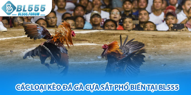 Các Loại Kèo Đá Gà Cựa Sắt Phổ Biến Tại bl555