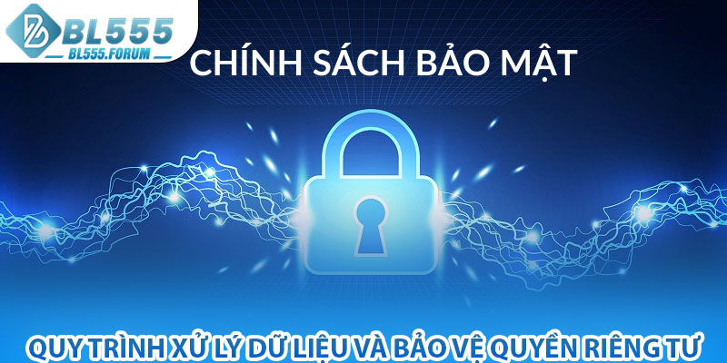 Quy Trình Xử Lý Dữ Liệu Và Bảo Vệ Quyền Riêng Tư
