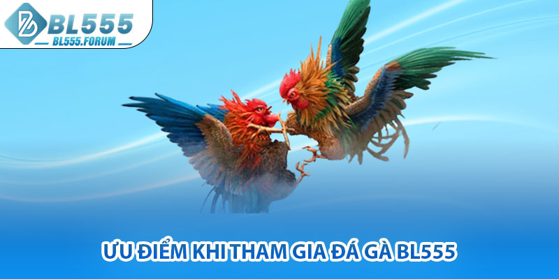Ưu Điểm Khi Tham Gia Đá Gà bl555